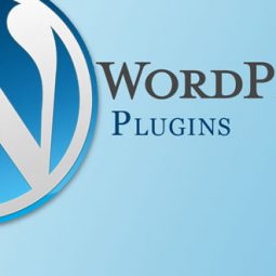 Plugin cho WordPress là gì?
